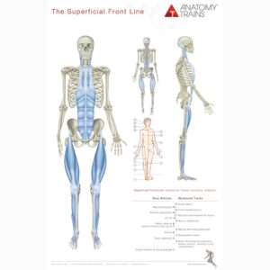 Anatomy Trains Posters